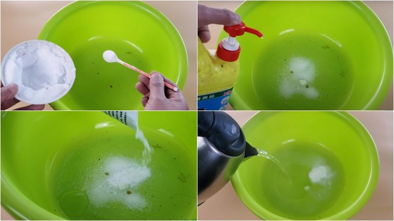 Cây lau nhà bị đen và hôi? Áp dụng mẹo sau lập tức sạch như mới mua